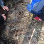 Exploring metavolcanosediments, Nautanen area, Sweden (Fot. Aleksandra Mansfeld)